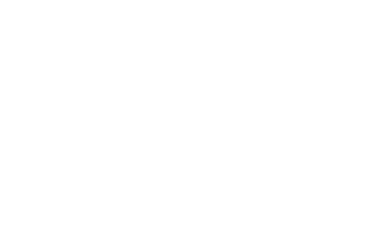 Straight Ahead logo White